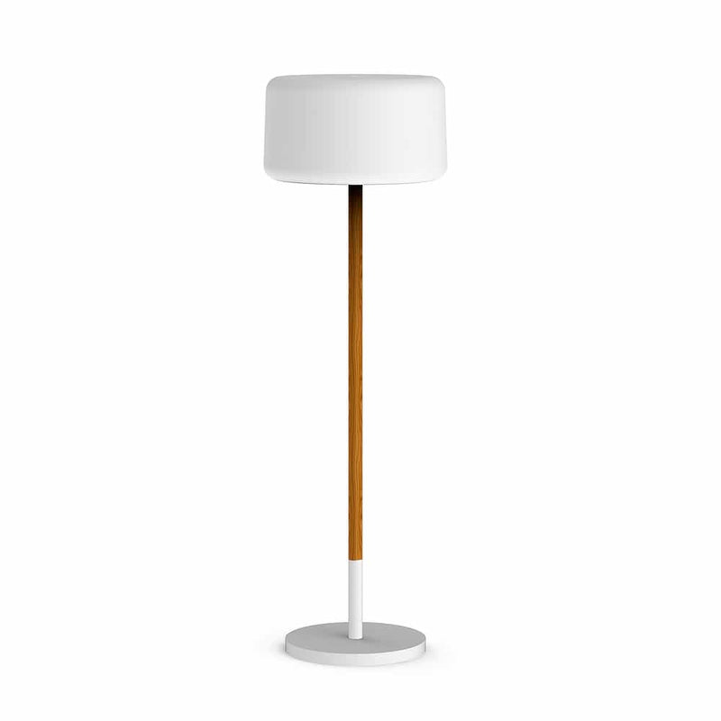 Light up your space with the unique Chloe Plant lamp by Newgarden, featuring wooden accents and customizable settings.